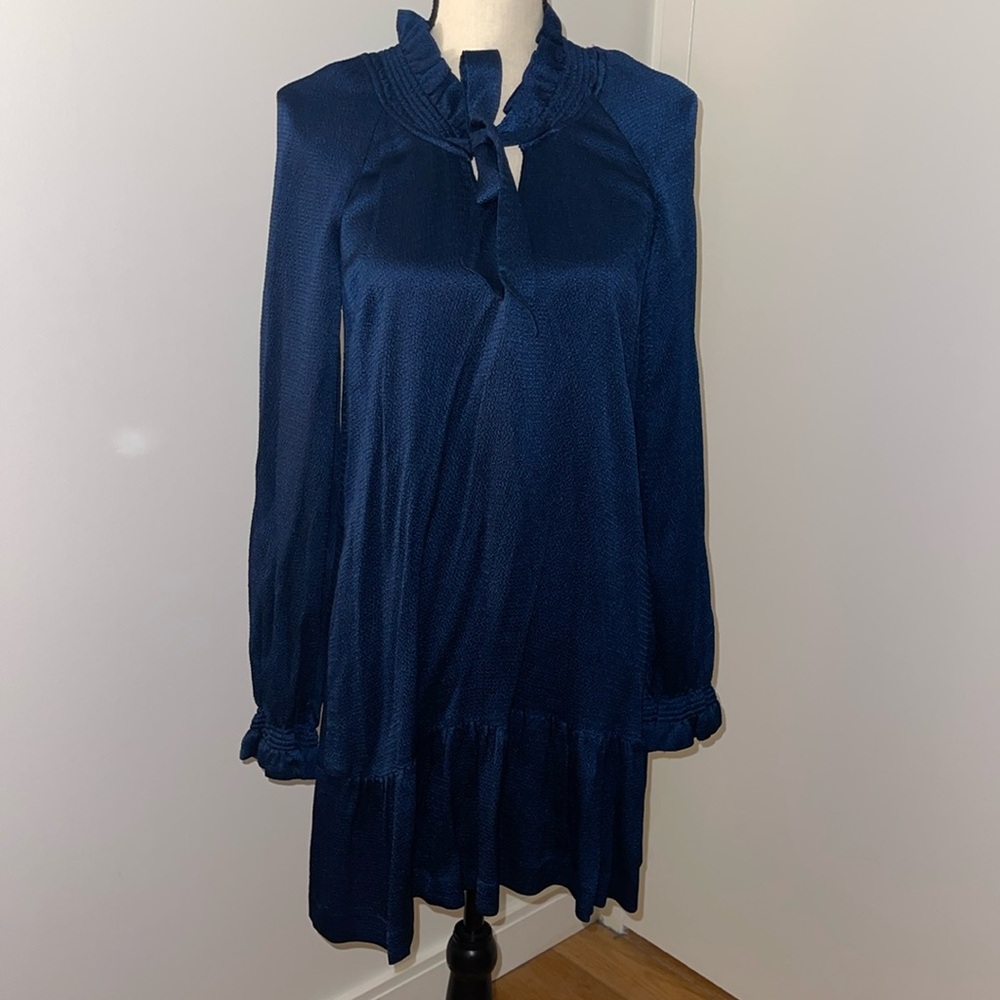 Beautiful Soft blue Sandro dress